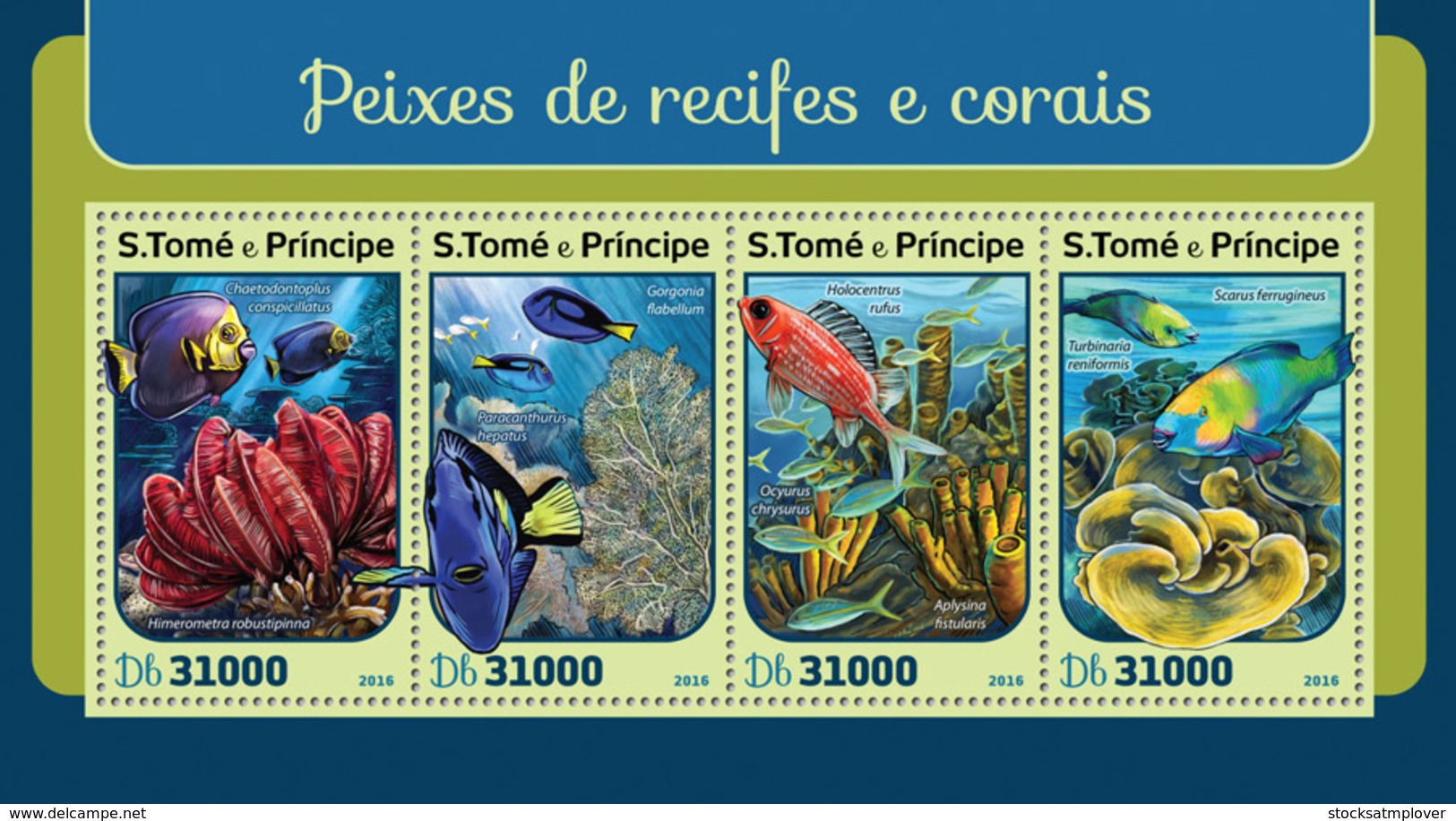 Sao Tome 2016  Fauna  Corals And Reef Fishes - Sao Tome And Principe