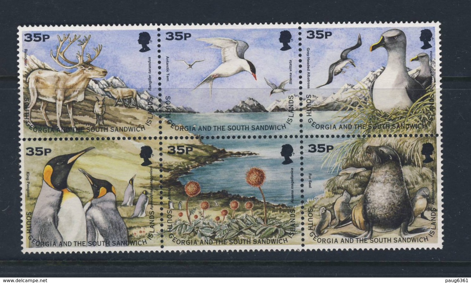 GEORGIE DU SUD 1998 OISEAUX MARINS YVERT N°278/83 NEUF MNH** - Autres & Non Classés