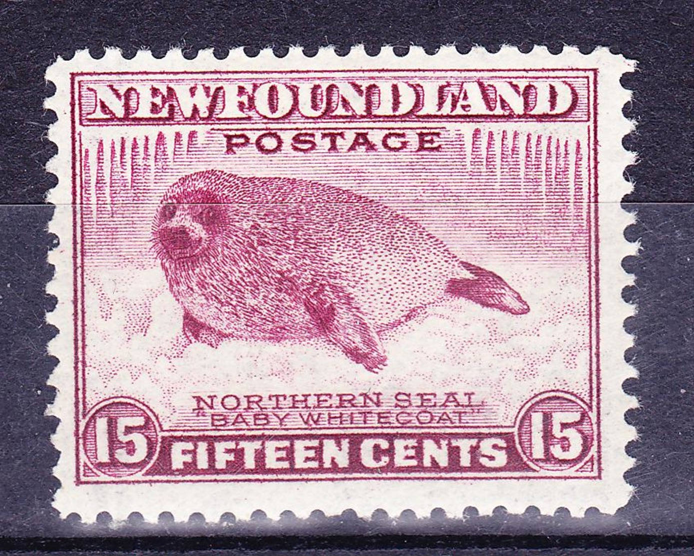 CANADA NEW FOUNDLAND 1941-1944 NORTHERN SEAL BABY WHITECOAT MH SC# 262 - 1908-1947