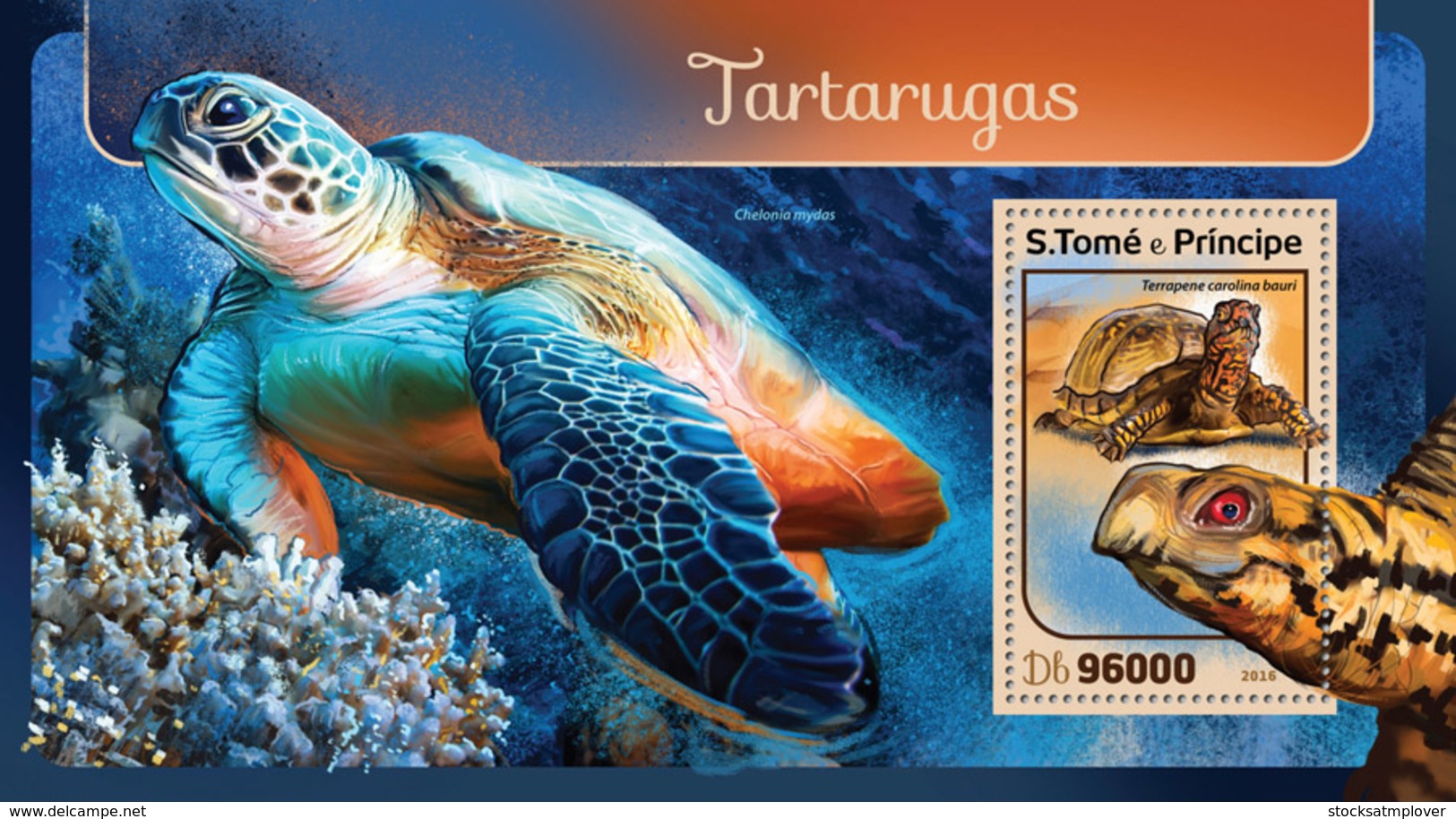 Sao Tome 2016  Fauna  Turtles - Sao Tome And Principe