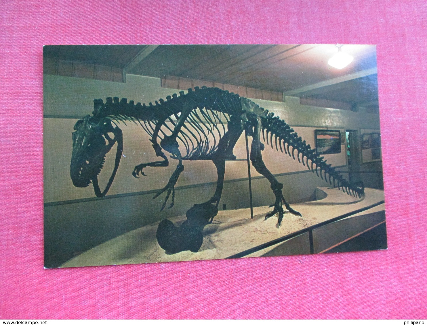 Al The Allosaurus  Utah      Dinosaur   Ref 3290 - Other & Unclassified