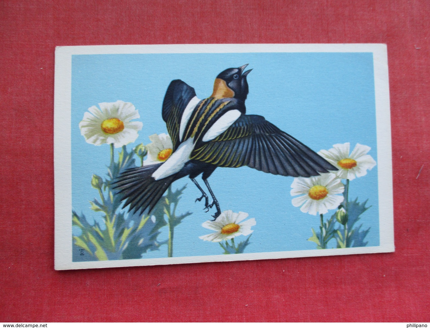 Bobolink    Ref 3290 - Birds