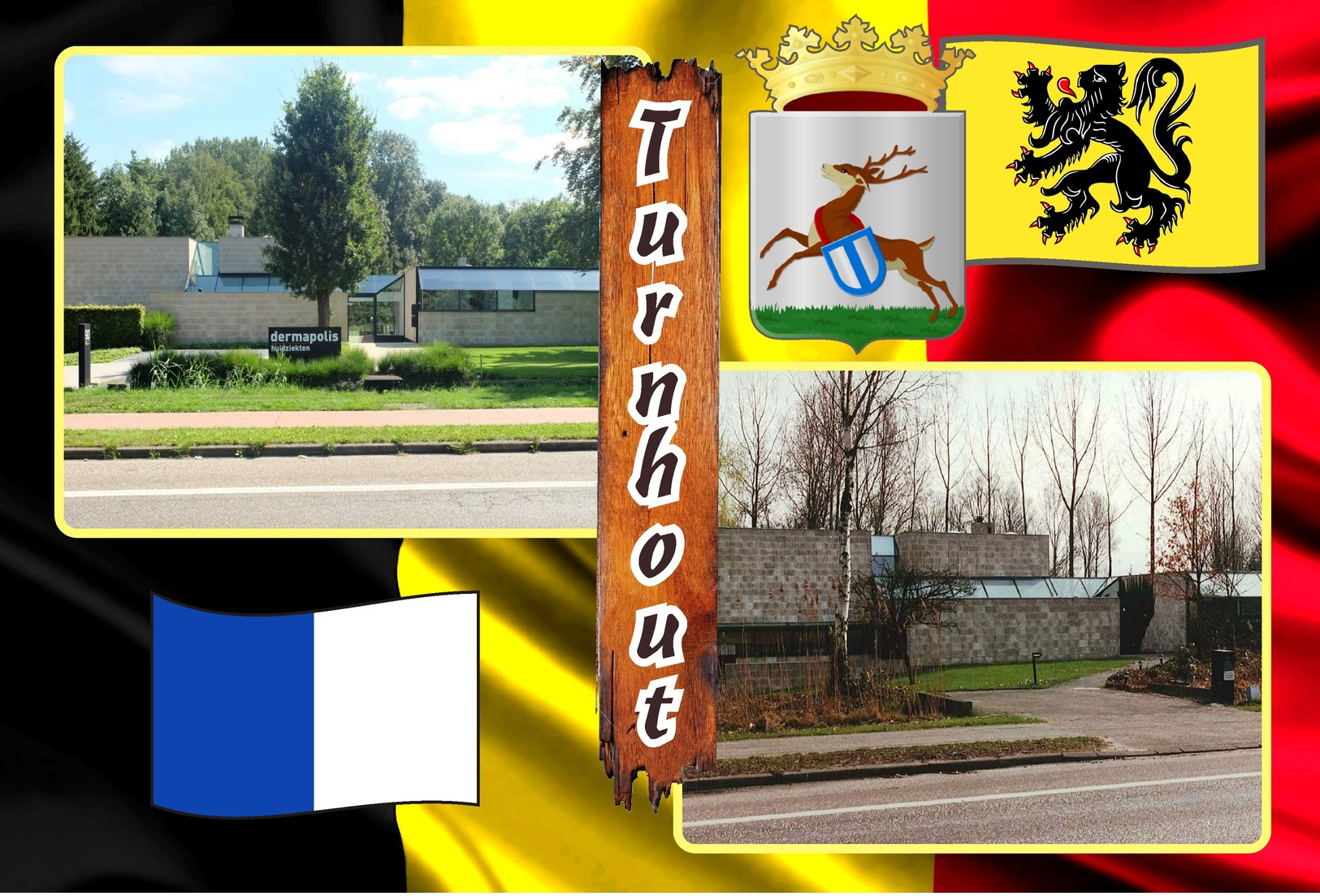 Postcards, REPRODUCTION, Municipalities of Belgium, Turnhout, duplex 295 - 345 = 51 pcs.