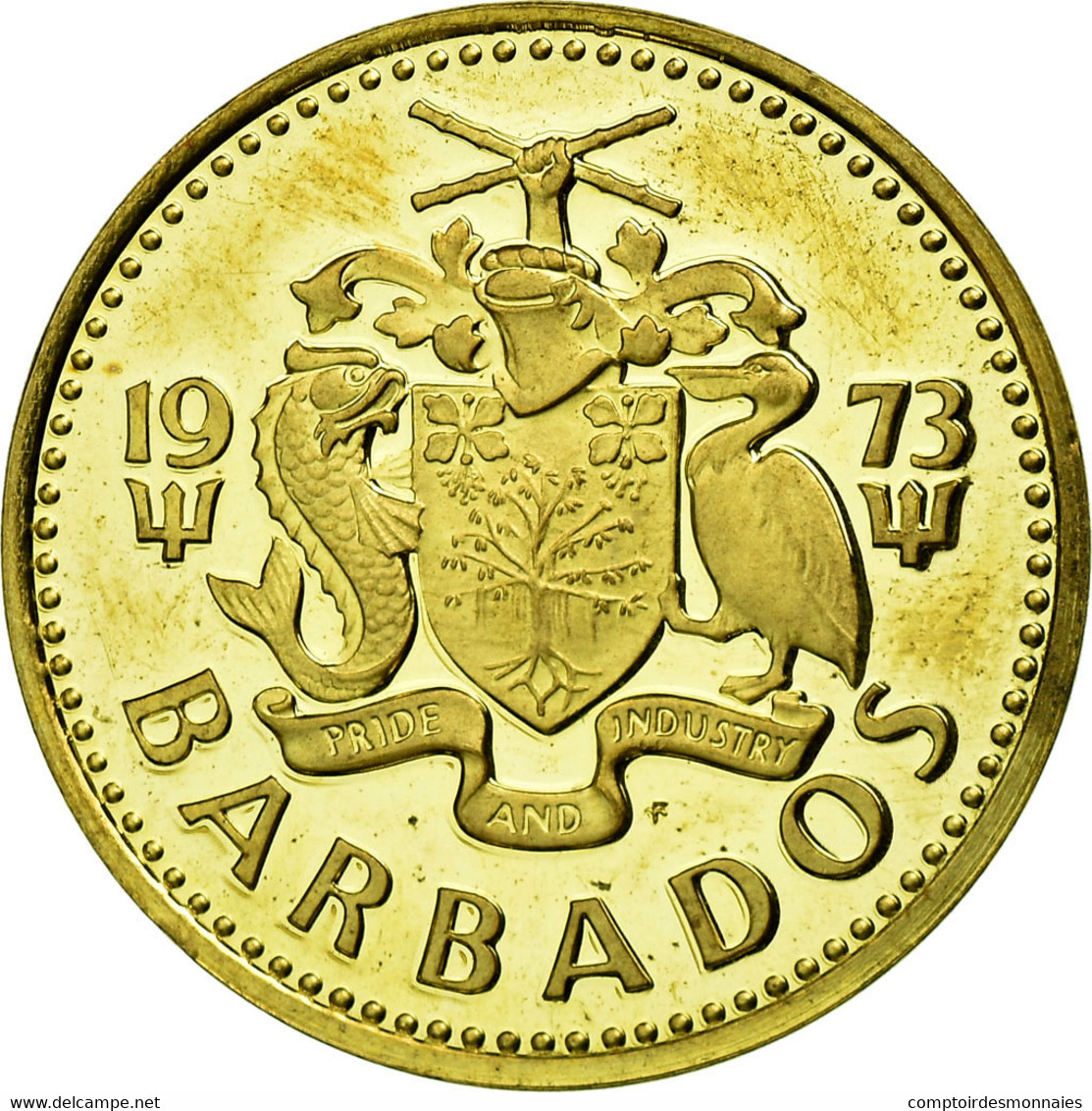 Monnaie, Barbados, 5 Cents, 1973, Franklin Mint, FDC, Laiton, KM:11 - Barbados (Barbuda)