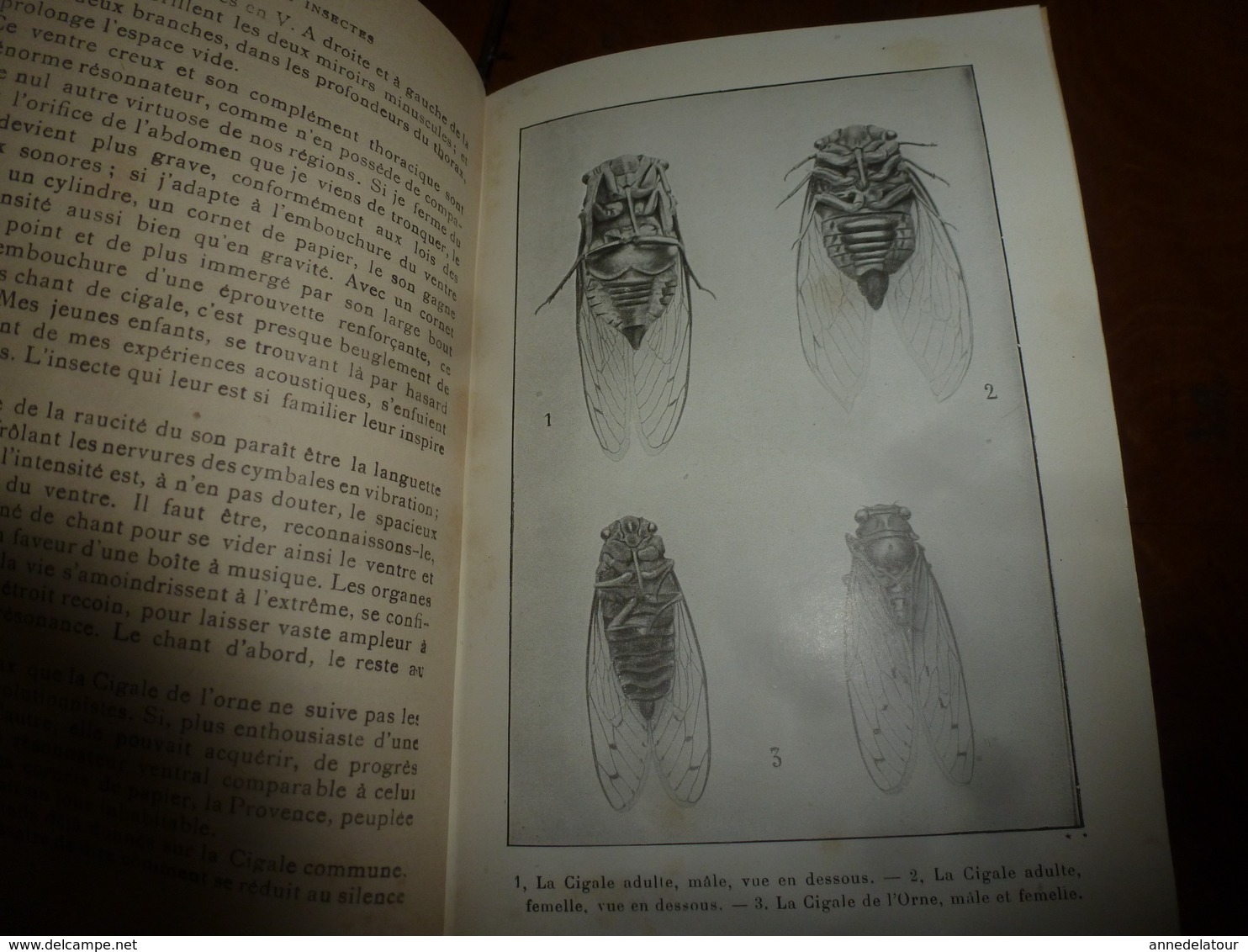 Entomologie par J. H. FABRE - Mœurs des insectes - avec 16 planches hors-texte