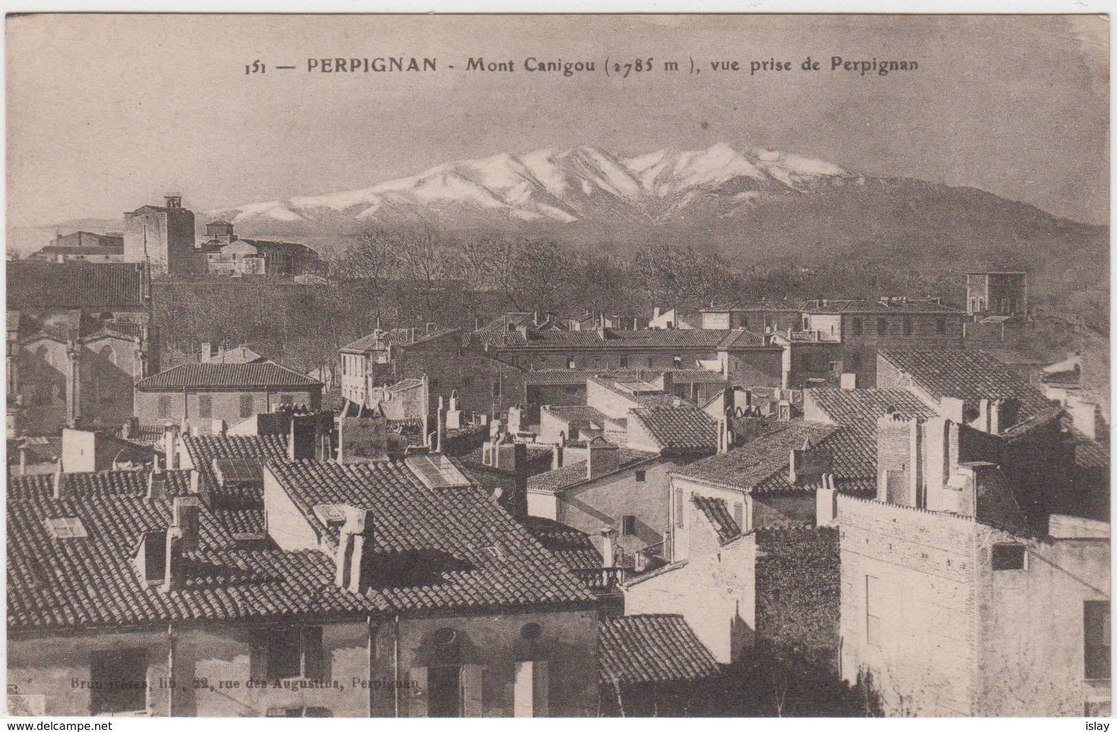 66 - PERPIGNAN - Mont Canigou, Vue Prise De Perpignan - Perpignan