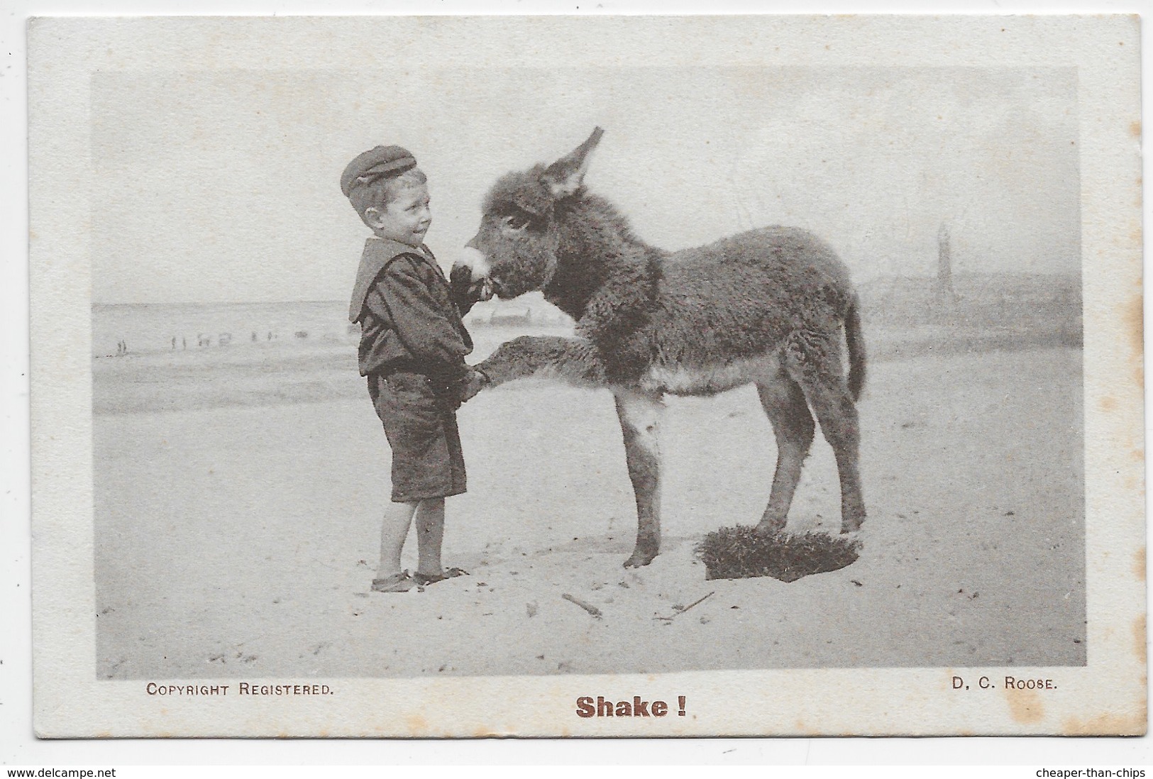 Small Boy With Donkey Foal - Shake! - Donkeys