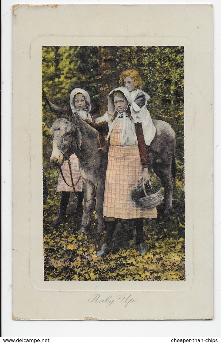 Young Girls With Donkey - Baby Up - Donkeys