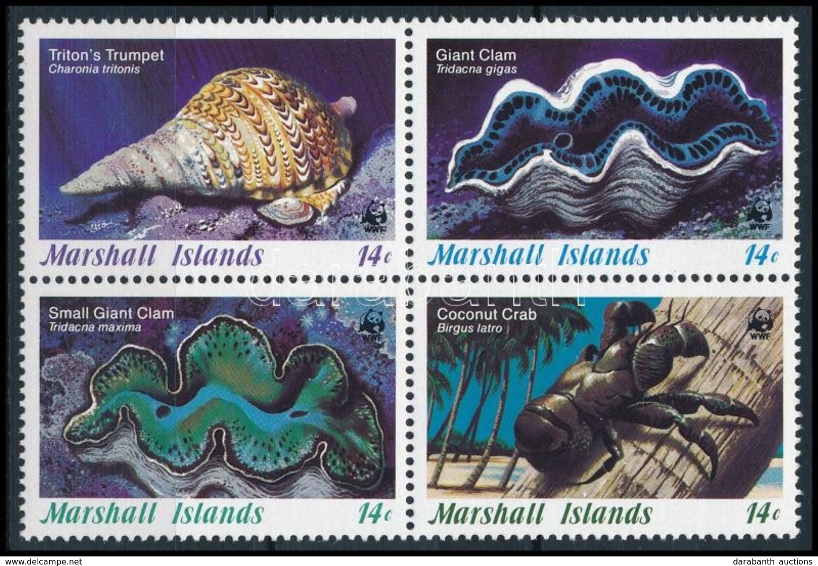 ** 1986 WWF: Kagyló Sor Négyestömb,
WWF: Shell Set Blocks Os 4
Mi 73-76 - Andere & Zonder Classificatie