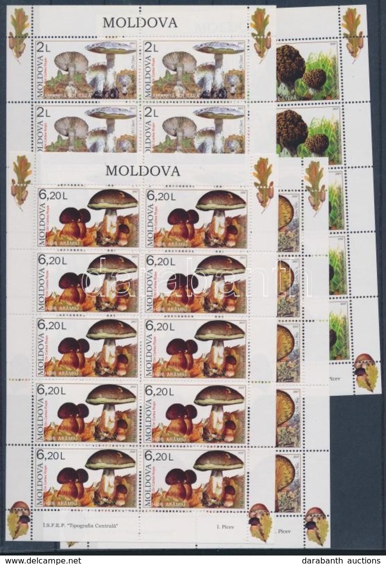 ** 2007 Gombák Kisívsor Mi 578-581 - Other & Unclassified