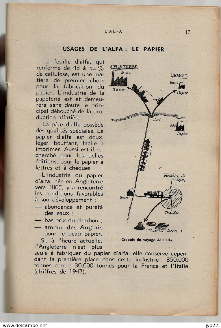 Bibliothèque De Travail 170 8-11-1951 L'Alfa - Plante Graminée Afrique Botanique Steppe Cellulose Papier ... - 12-18 Anni