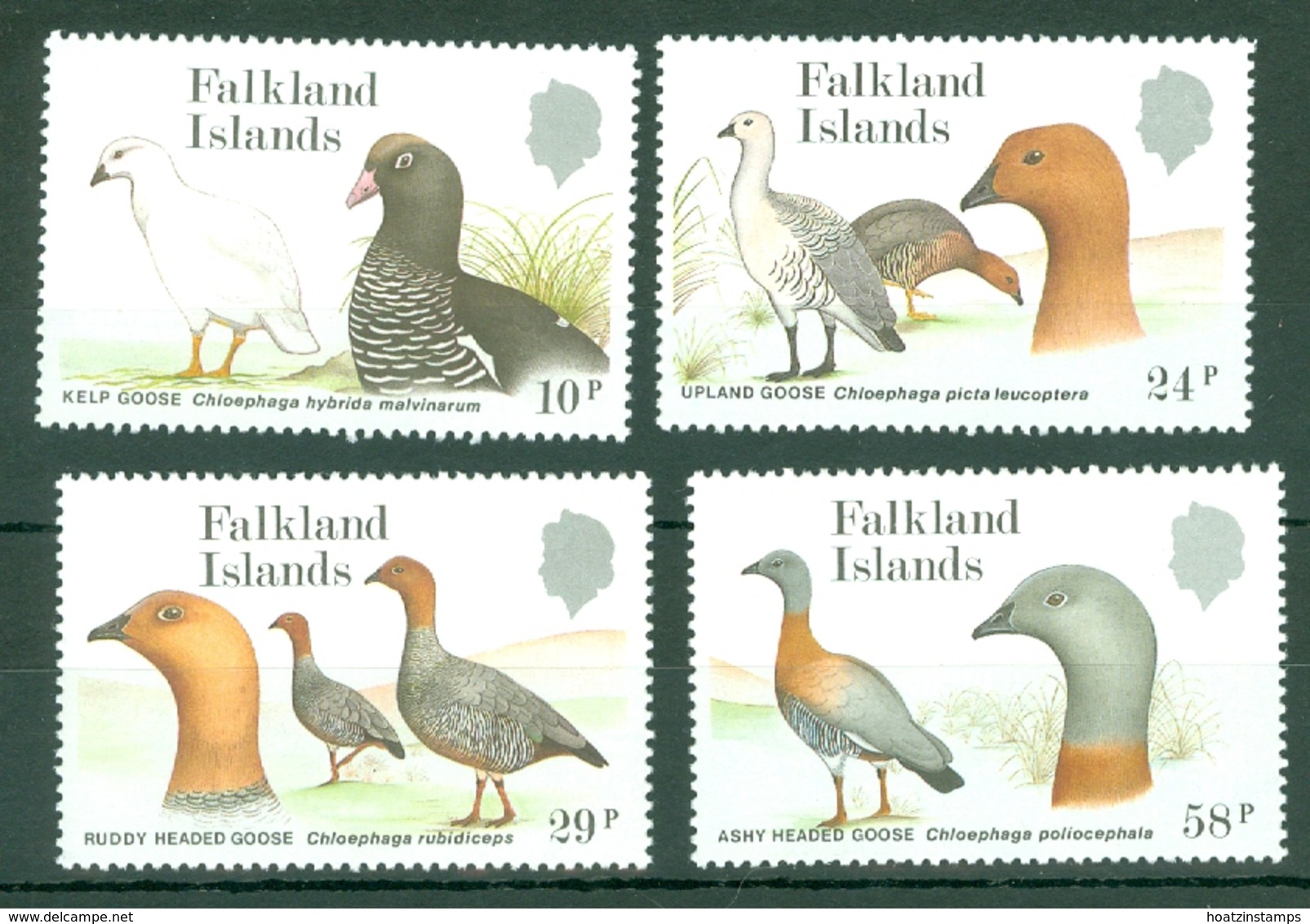 Falkland Is: 1988   Falkland Island Geese   MNH - Falkland Islands