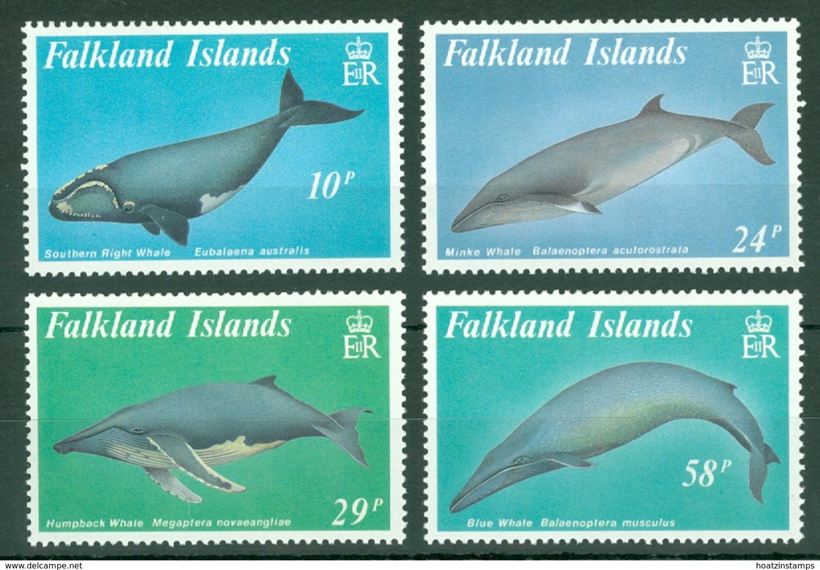 Falkland Is: 1989   Baleen Whales  MNH - Falkland Islands