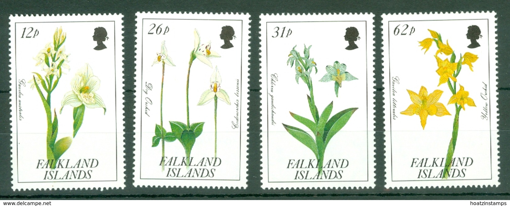 Falkland Is: 1991   Orchids   MNH - Falkland Islands