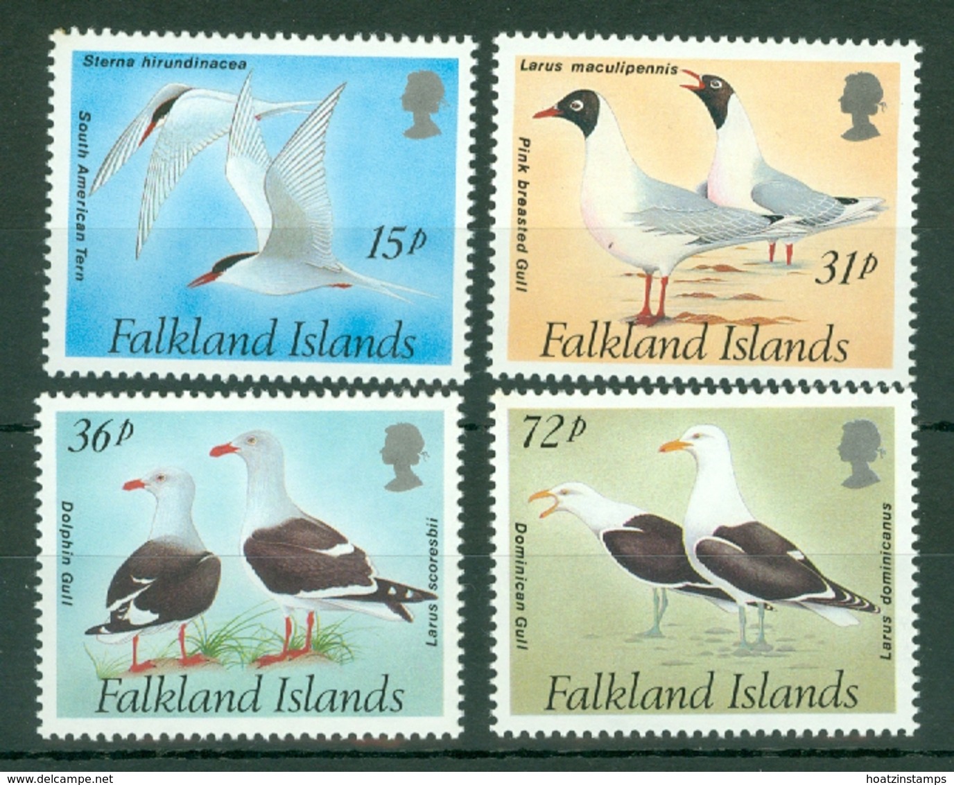 Falkland Is: 1993   Gulls And Terns   MNH - Falkland Islands