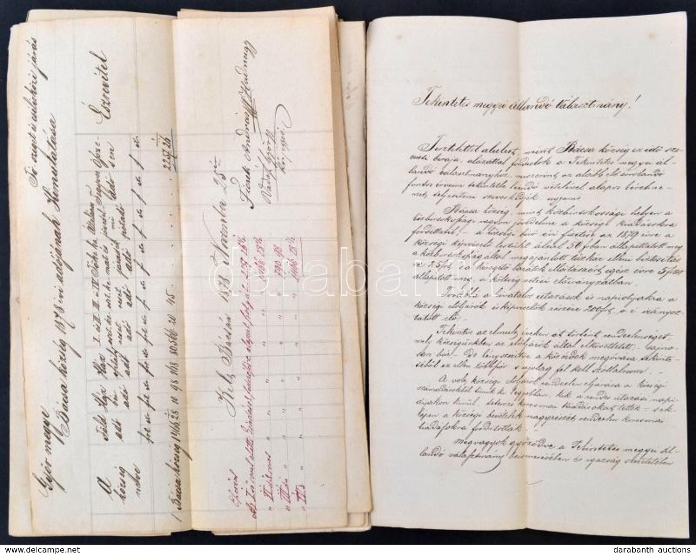1879 Bácsa Község Költségvetése 10p. Kézzel írt. - Unclassified