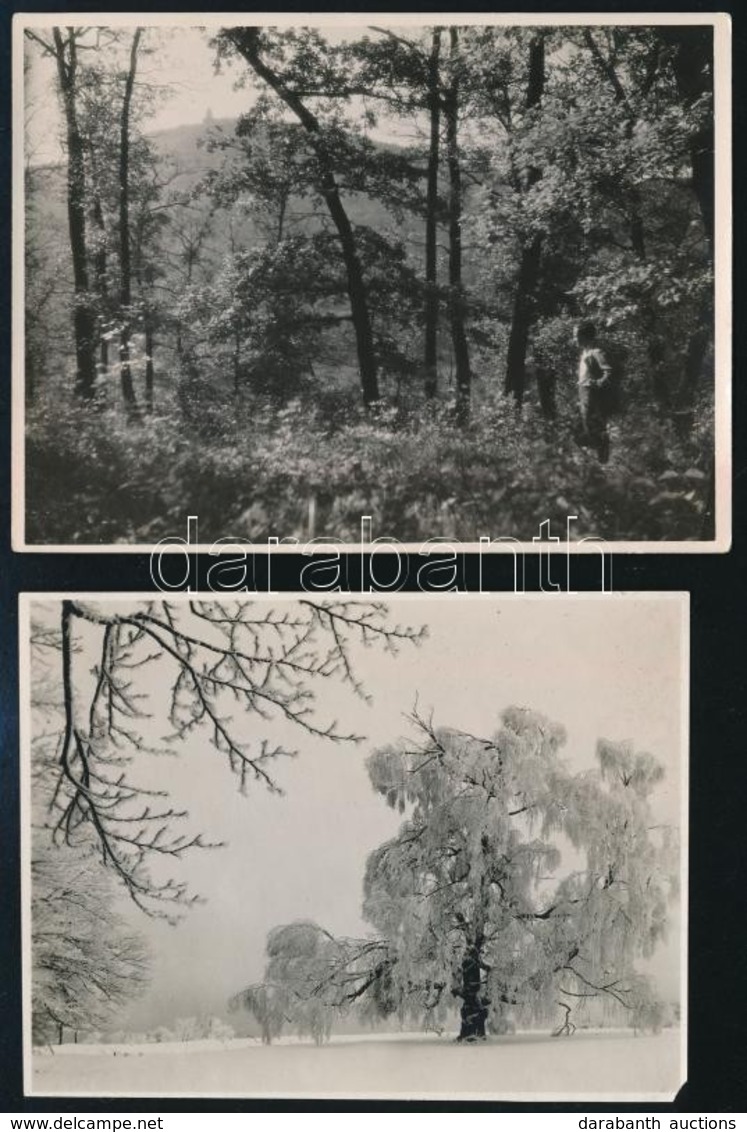 Cca 1938 Dulovits Jenő (1903-1972) Budapesti Fotóművész Hagyatékából 2 Db Vintage Fotó, Az Egyik Pecséttel Jelzett, 12x9 - Other & Unclassified
