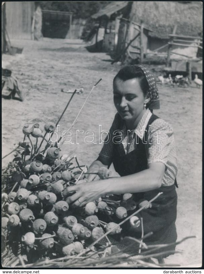 Cca 1937 Korschelt Miklós (1900-1982) Budapesti Fotóművész Hagyatékából 3 Db Vintage Fotó, Az Egyik Feliratozva, 24x18 C - Other & Unclassified