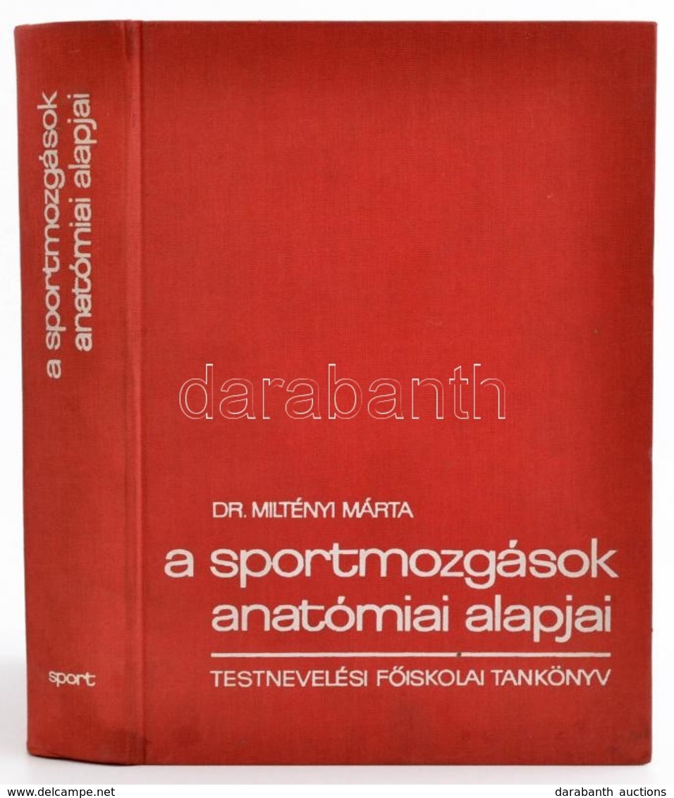 Dr. Milthényi Mária: A Sportmozgások Anatómiai Alapjai. Bp., 1980. Sport. Egészvászon Kötésben. - Non Classés