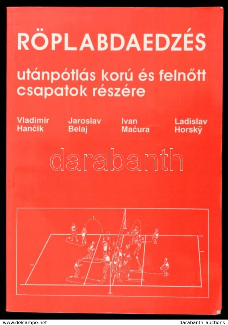 Röplabdaedzés Utánpótlás és Felnőtt Csapatok Részére. Bp., 1990. Hungária Sport. Kiadói Papírborítékban - Unclassified