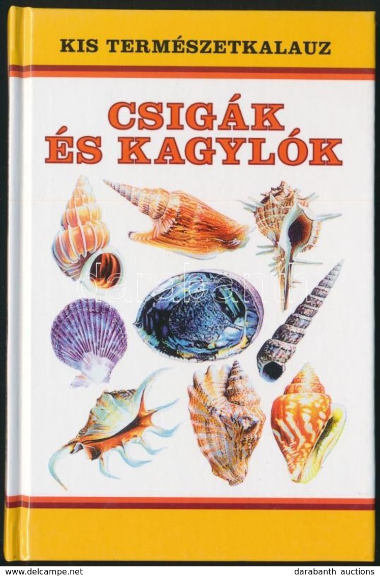 Graham D. Saunder: Csigák és Kagylók. Fordította: Szathmáry Kinga. Kis Természetkalauz. Bp.,2001, Elektra. Kiadói Karton - Unclassified