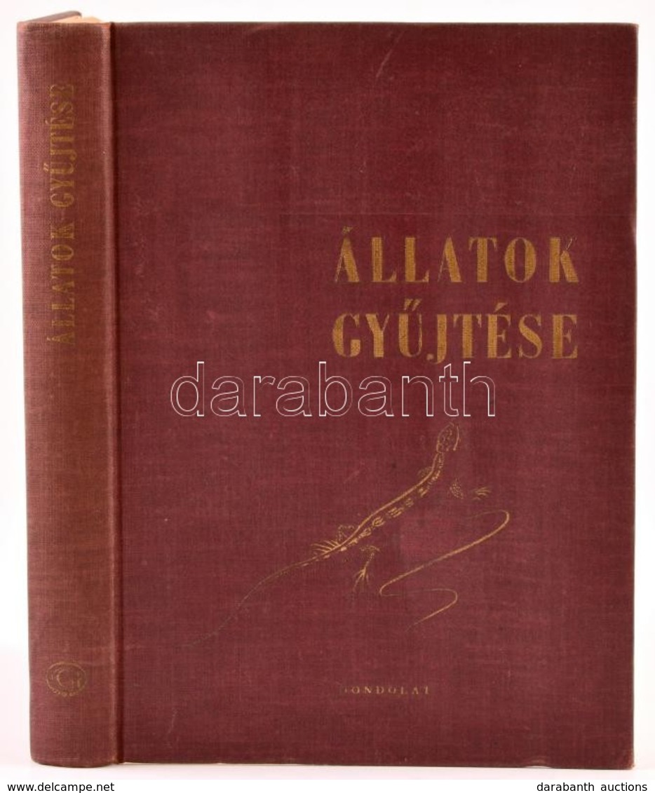 Móczár László: Állatok Gyűjtése. Bp., 1962. Gondolat. Kiadói Egészvászon Kötésben. - Non Classés