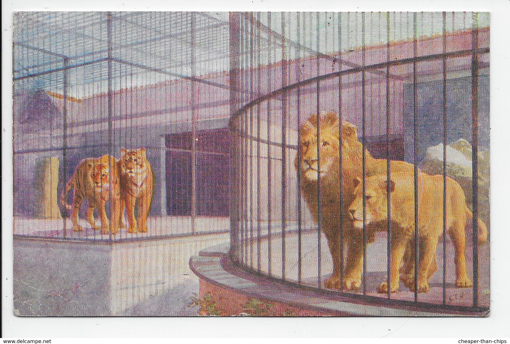 C.T. Howard - Lions At The Zoo - Lions