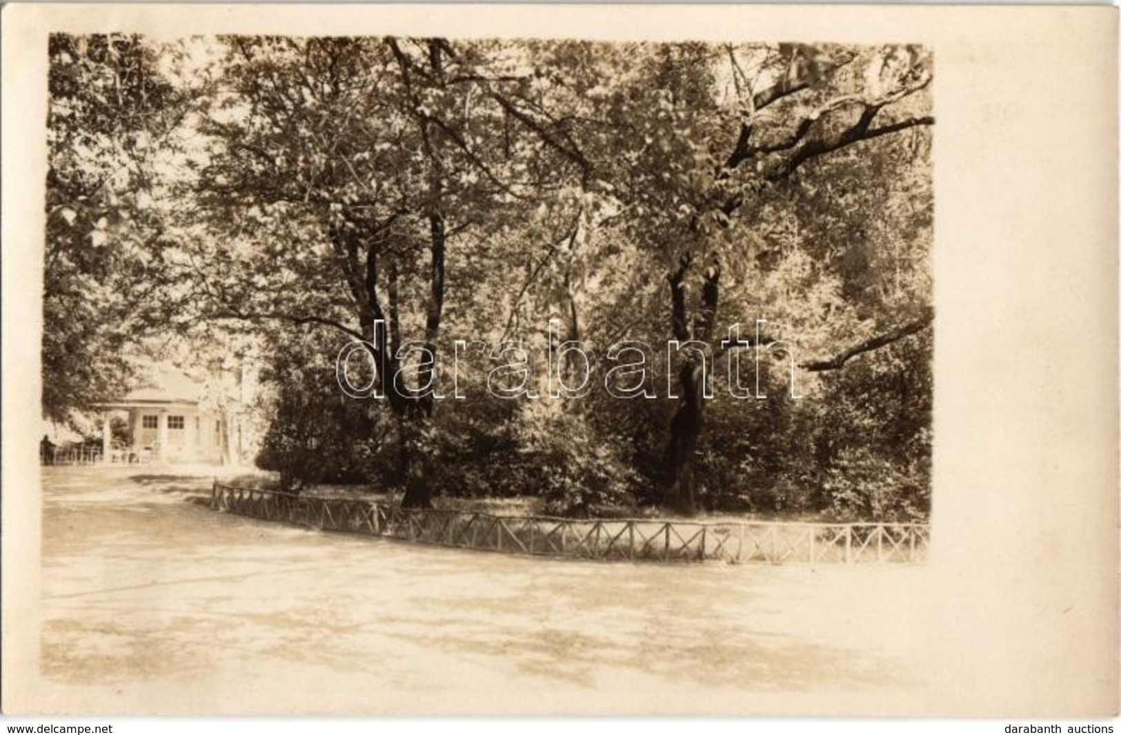 * T2 Brassó, Kronstadt, Brasov; Park / Park. Gáspár István Photo - Zonder Classificatie