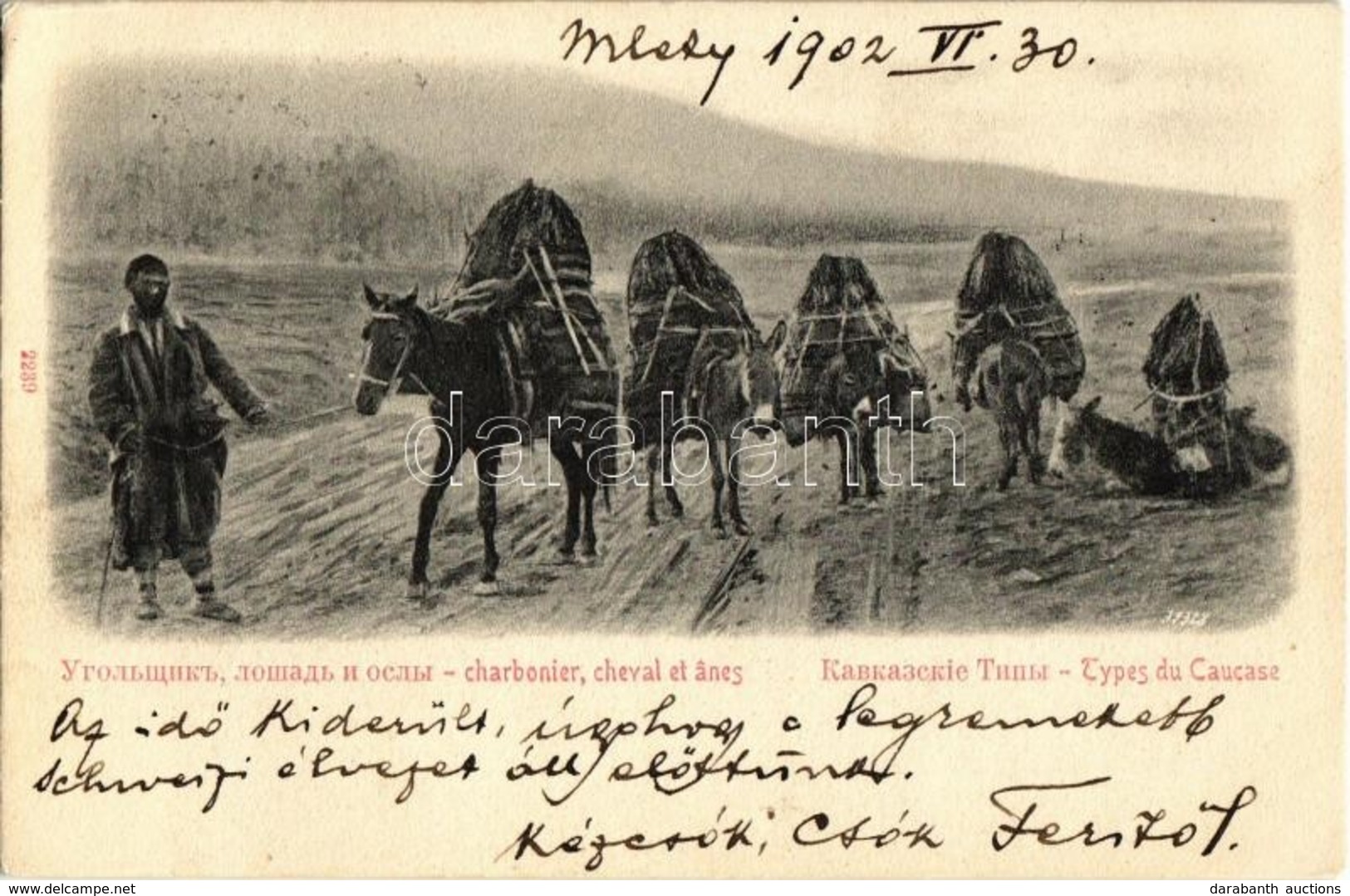 T2/T3 1902 Caucasus, Types Du Caucase, Charbonier, Cheval Et Anes / Caucasian Folklore, Horses And Donkeys (EK) - Non Classés