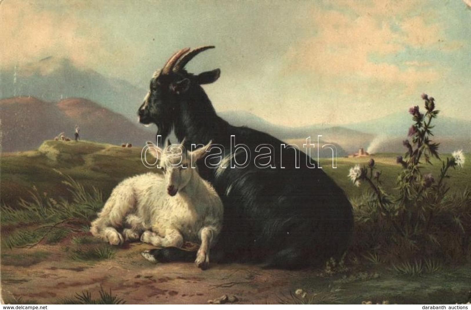 T2/T3 Ziege Und Zicklein / Goats Litho S: Jacques Raymond Brascassat (EK) - Zonder Classificatie