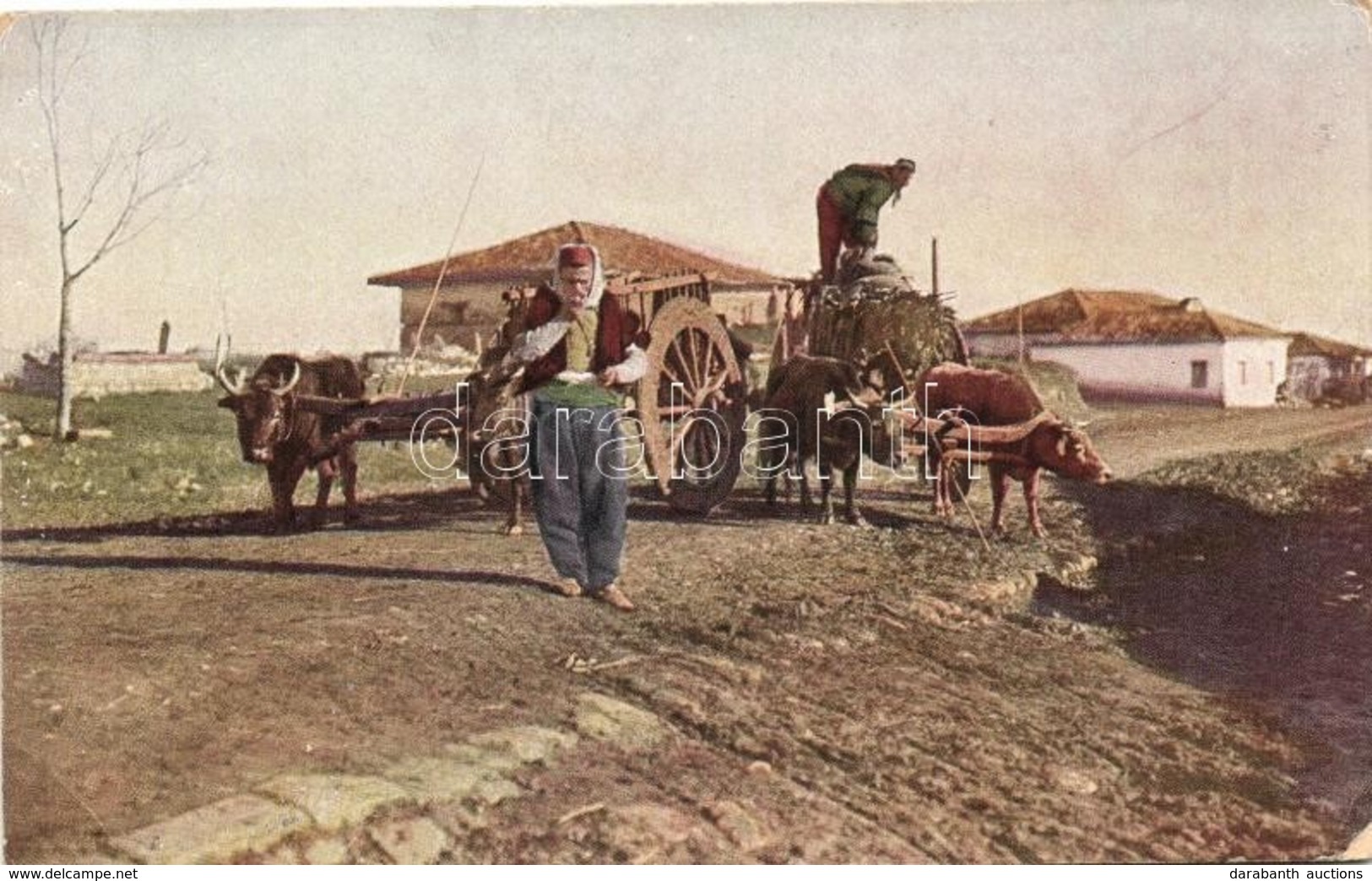 T2/T3 Albanian Folklore, Ox Cart Nr. 21. (EK) - Zonder Classificatie