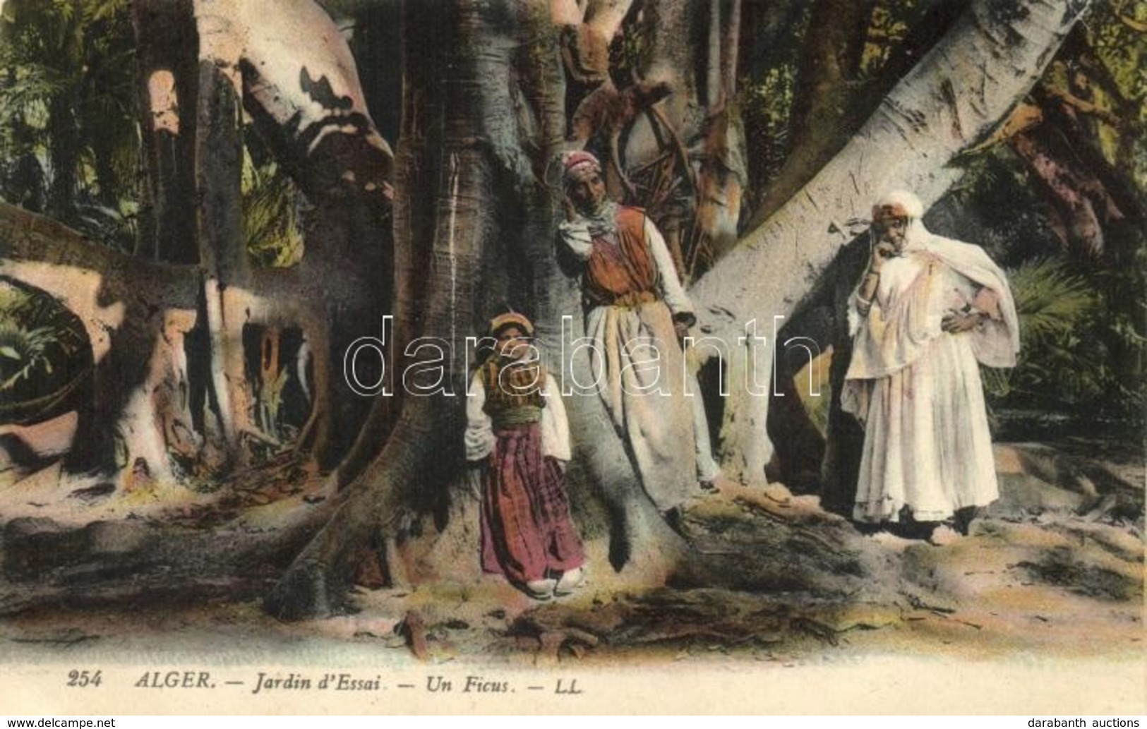 T2/T3 Algerian Folklore, Jardin D'Essai, Un Ficus / Garden (EK) - Unclassified