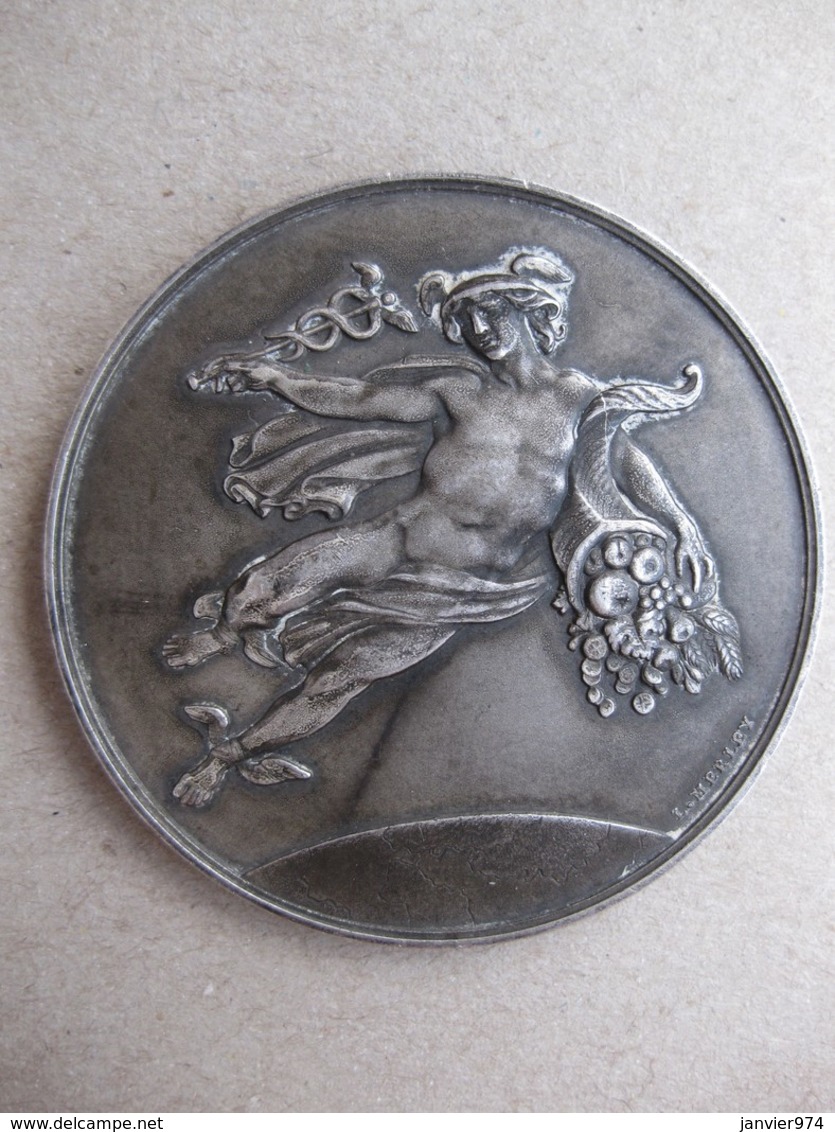 Médaille En Bronze Mercure Offert Par Paul Massimi Député Rhône, Par Merley - Autres & Non Classés