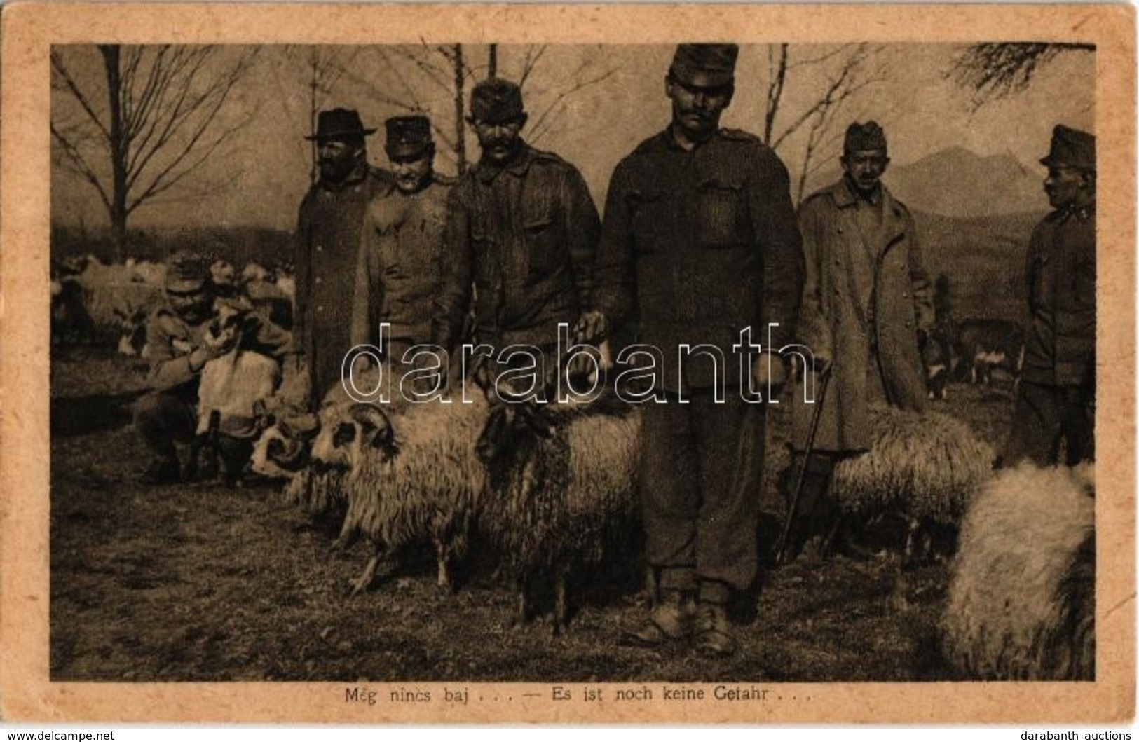 ** T2 Még Nincs Baj / Es Ist Noch Keine Gefahr / WWI Austro-Hungarian K.u.K. Military, Soldiers With Sheep (EK) - Unclassified