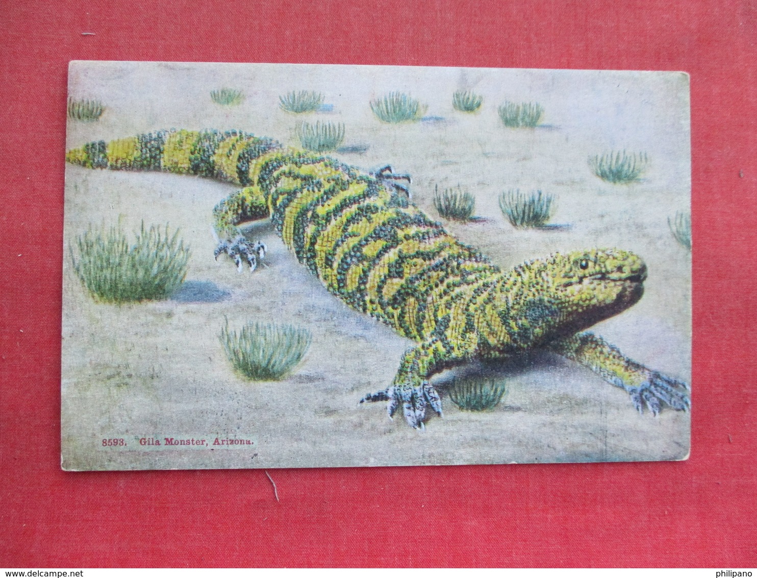 Gila Monster Arizona  Ref 3291 - Other & Unclassified