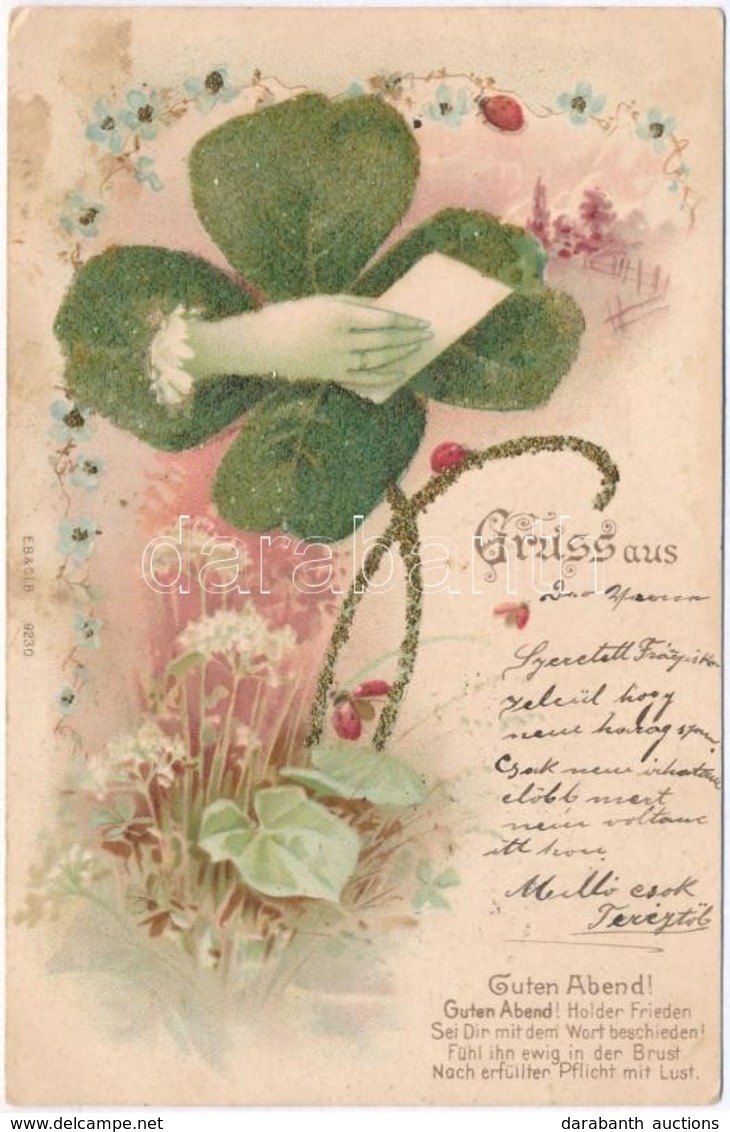 T2 Gruss Aus! Guten Abend / Good Night Greeting Art Postcard. Floral, Decorated Litho - Non Classés