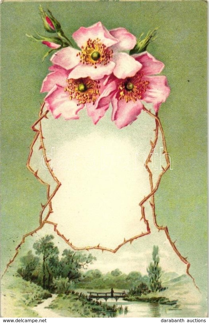 * T2 Flowers, Bridge, Litho - Unclassified