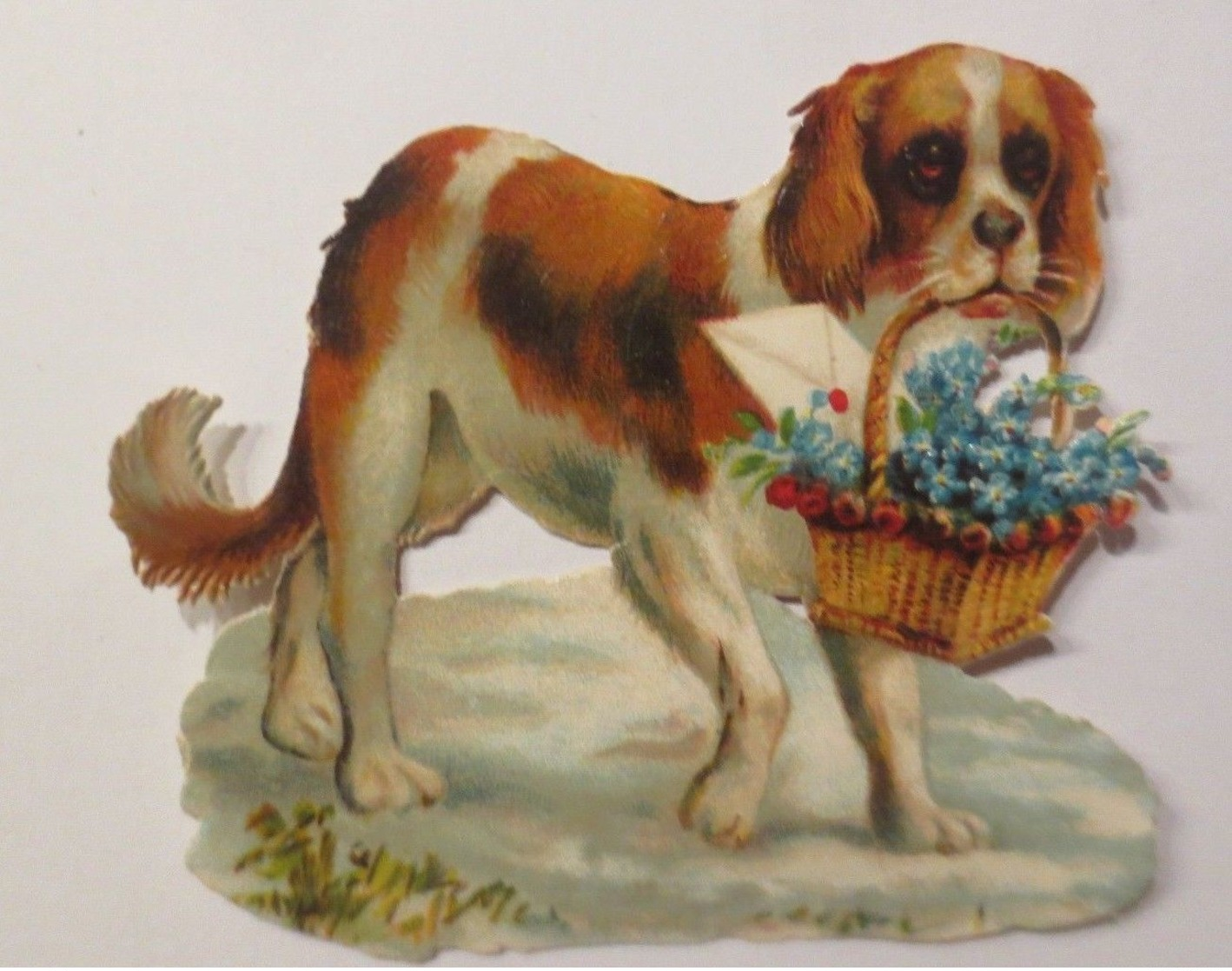 Oblaten, Hund, Bernhardiner, Korb, Blumen,  1900,   8 Cm X 7 Cm ♥  - Sonstige & Ohne Zuordnung