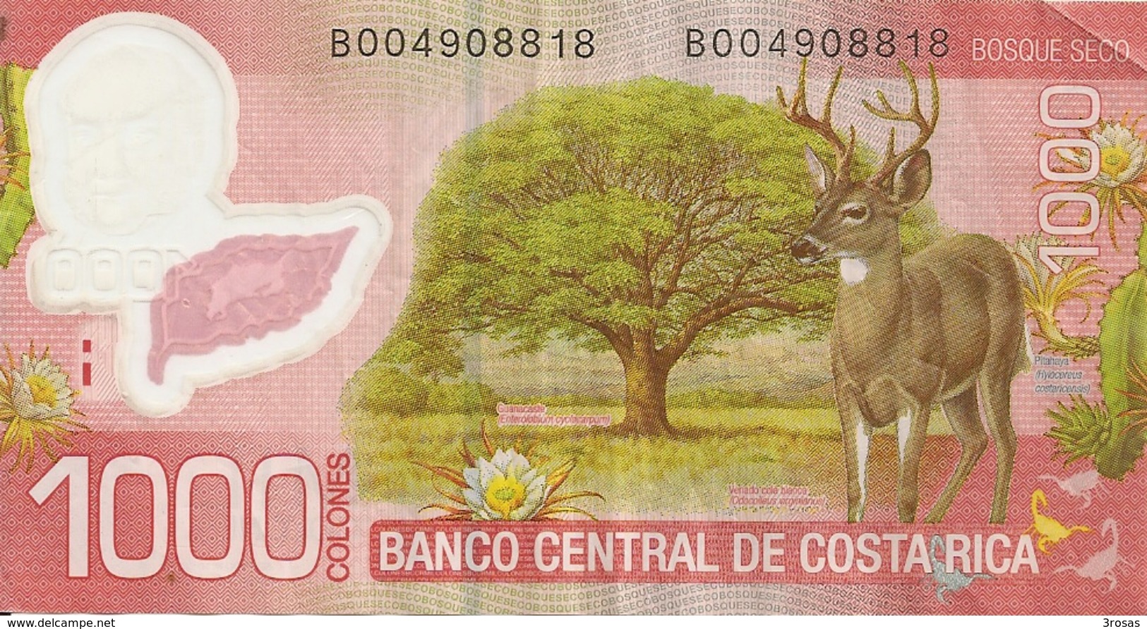 Costa Rica Banknotes 1000 Colones With Deer - Costa Rica