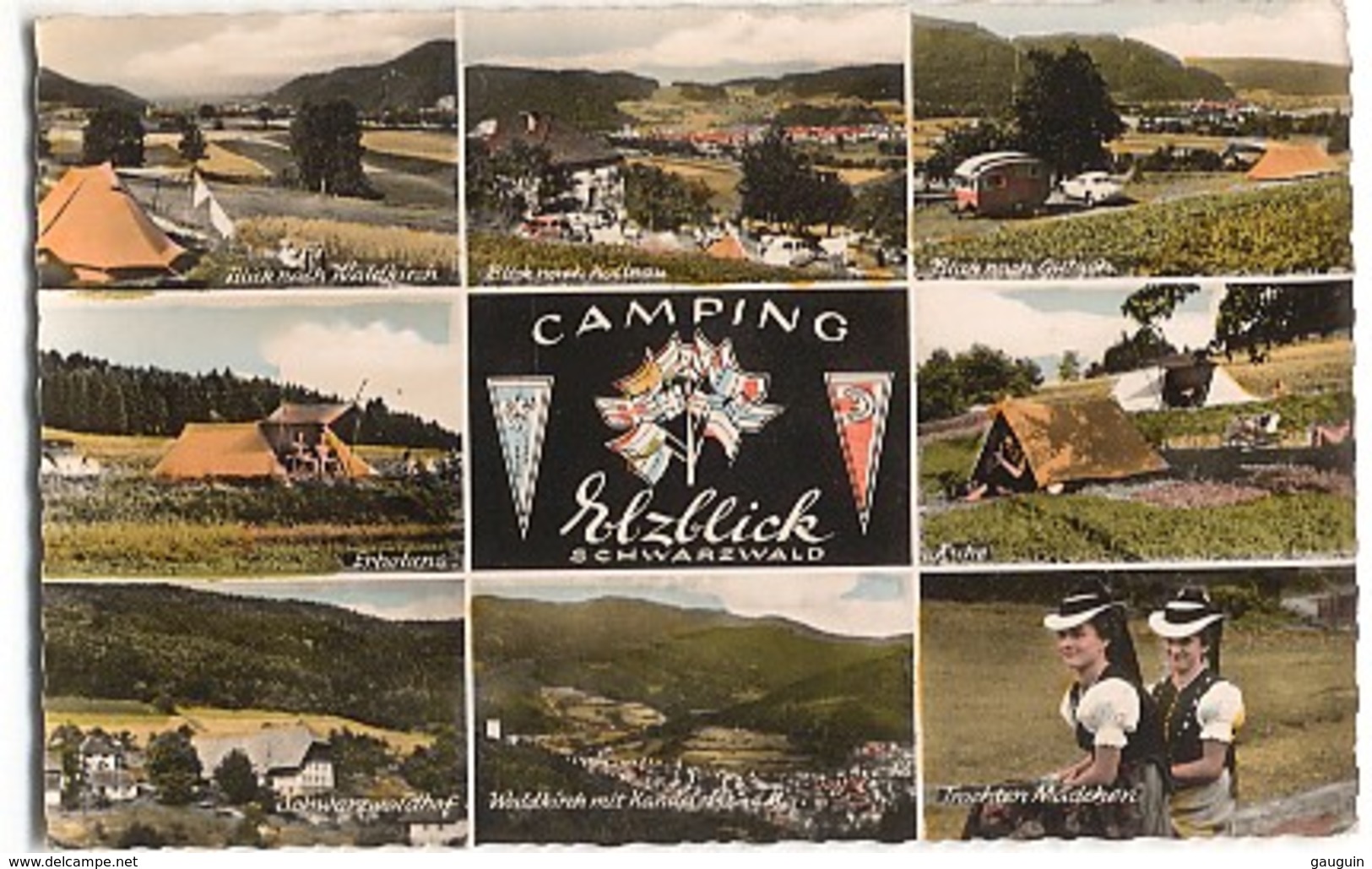 CPSM - SIENSBACH - Im ELZTAL - Gasthof Camping "Elzblick" - Autres & Non Classés