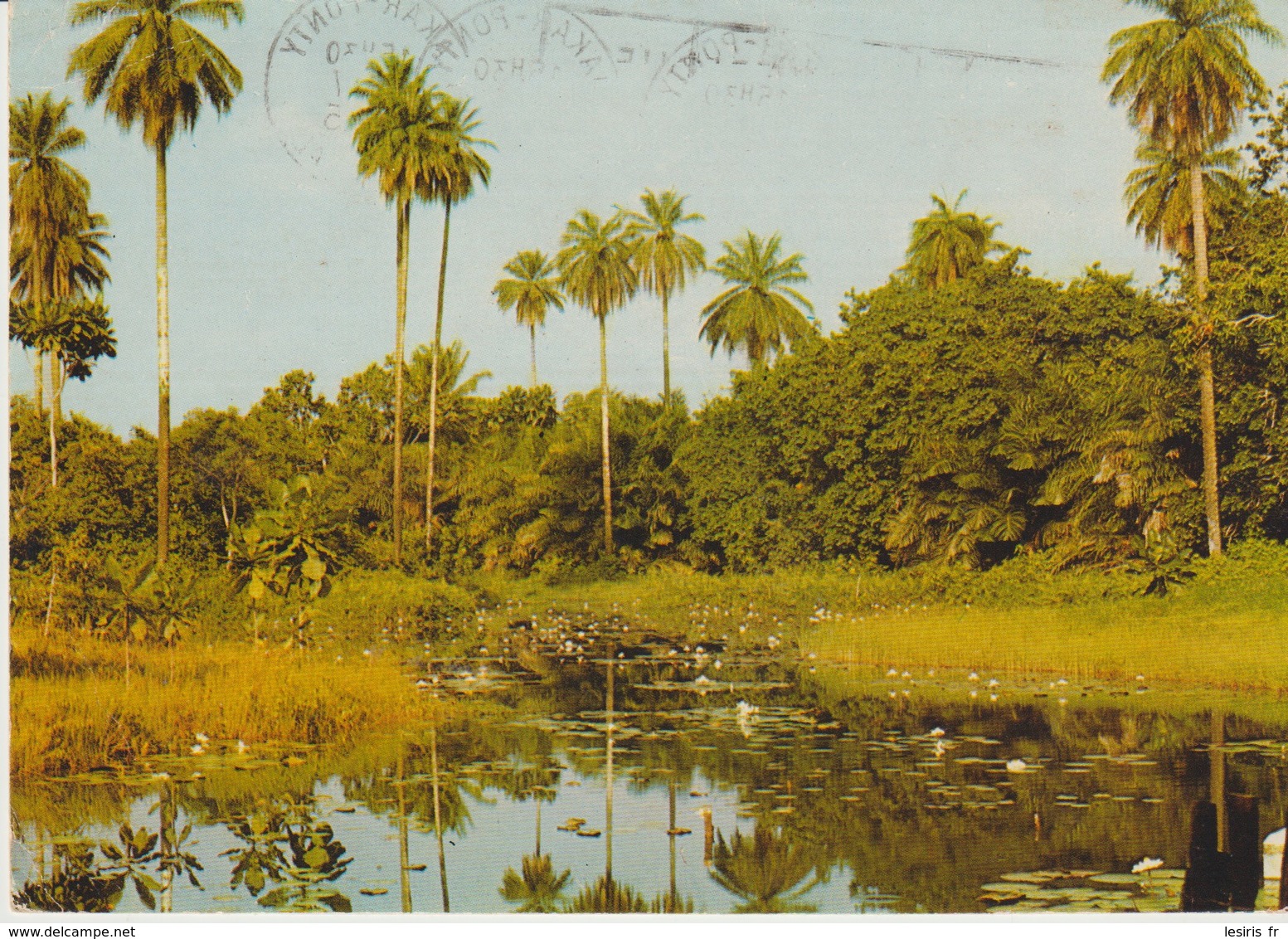 C.P. - PHOTO - IMAGES DU SÉNÉGAL - BAMBO POOL A ABUKA - GAMBIA - PC 90 - E. F. BREWER - - Sénégal