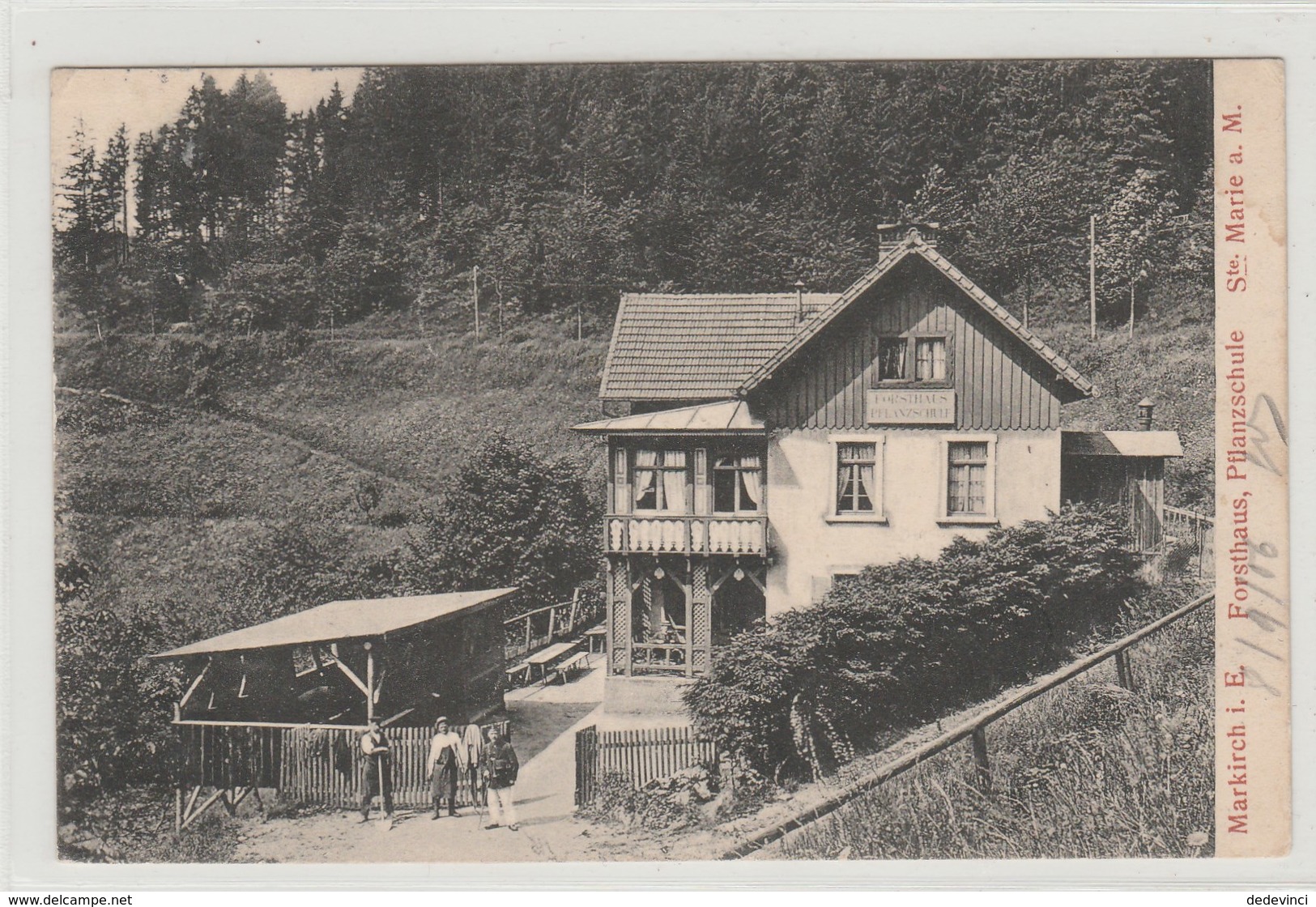 Markirch I.E. Forsthaus, Pflanzechule Ste Marie A M - Sainte-Marie-aux-Mines