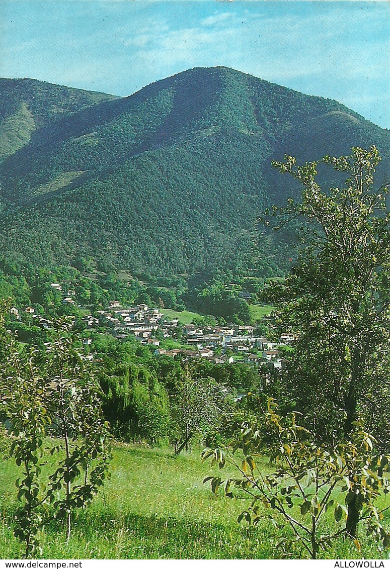 3322 " VAL DELLA TORRE (TO) M. 505-SCORCIO PANORAMICO " CART. POST. ORIG. NON SPED. - Altri & Non Classificati