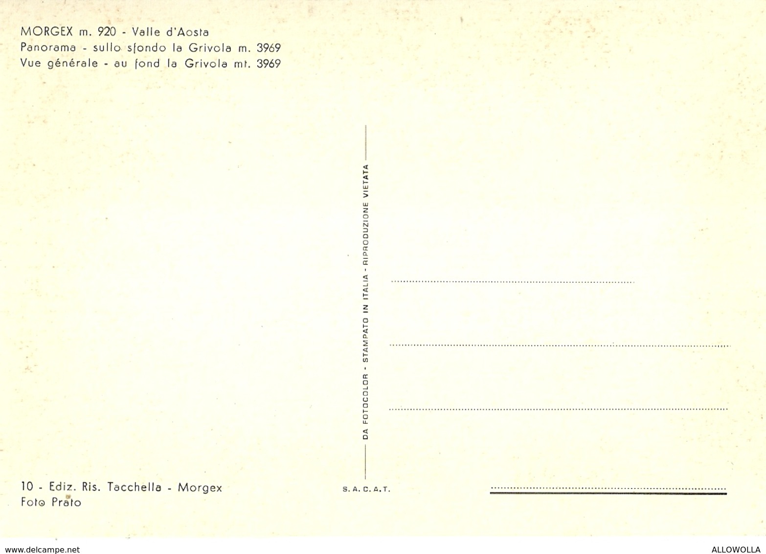 3332 " MORGEX M. 920-PANORAMA-SULLO SFONDO LA GRIVOLA M. 3969"  CART. POST. ORIG. NON SPED. - Altri & Non Classificati