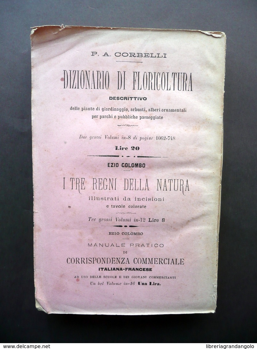 Il Giardiniere Medico Manuale Per L'Erborajo Semplicista Corbelli Guigoni 1883 - Unclassified