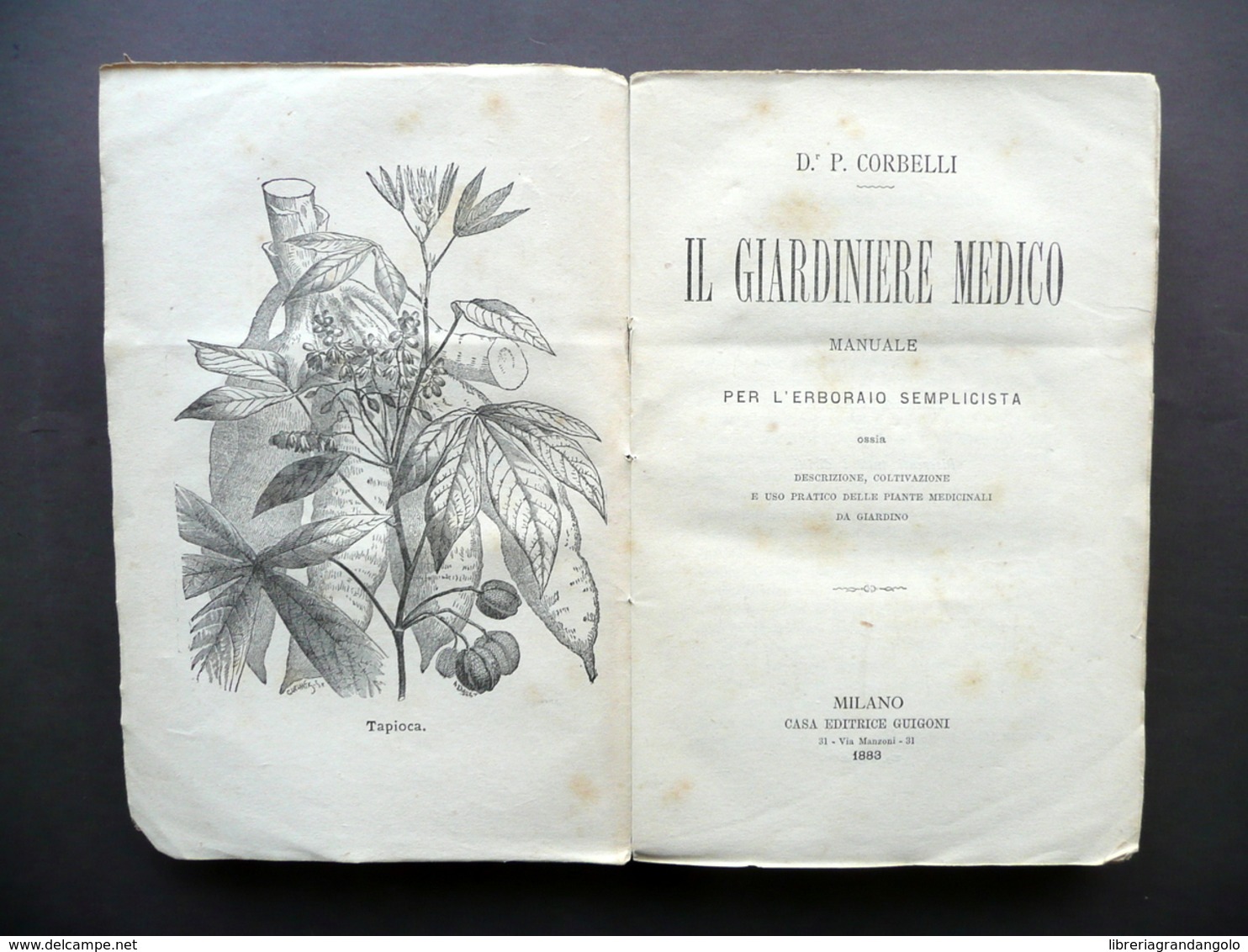 Il Giardiniere Medico Manuale Per L'Erborajo Semplicista Corbelli Guigoni 1883 - Unclassified