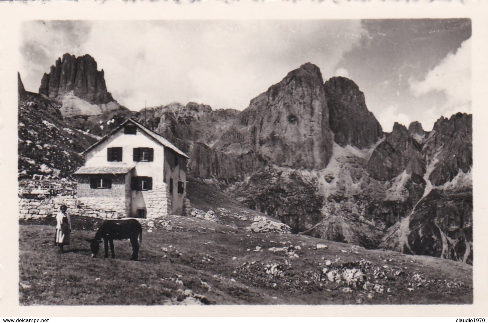 PICCOLA FOTOGRAFIA - TRENTO - DOLOMITI, RIFUGIO RODA DI VAEL M. 2280 COL CORONELLE M. 2781 - Trento