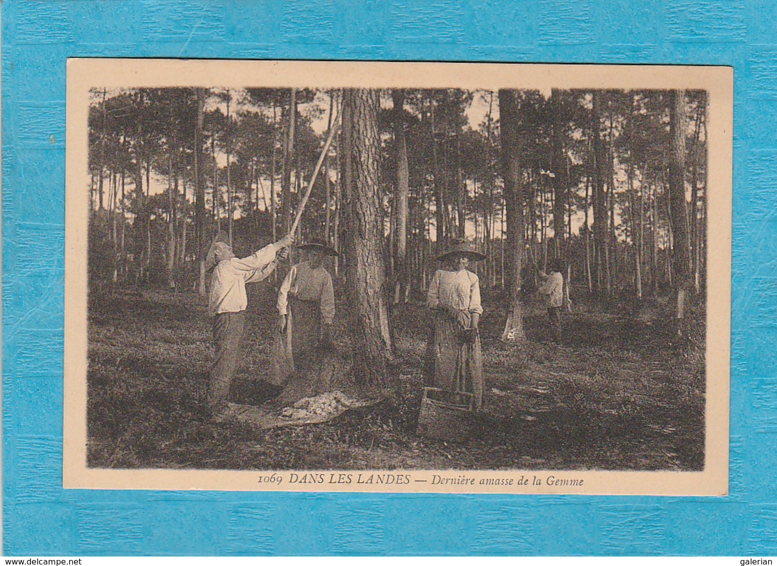 Dernière Amasse De La Gemme. - Derrière Roquefort Dans Les Landes. - Autres & Non Classés