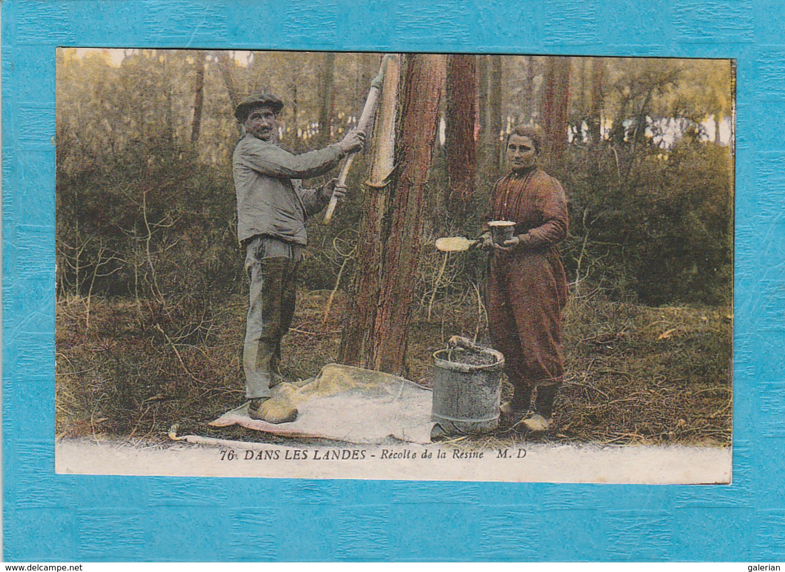 Dans Les Landes. - La Récolte De La Résine. - Autres & Non Classés