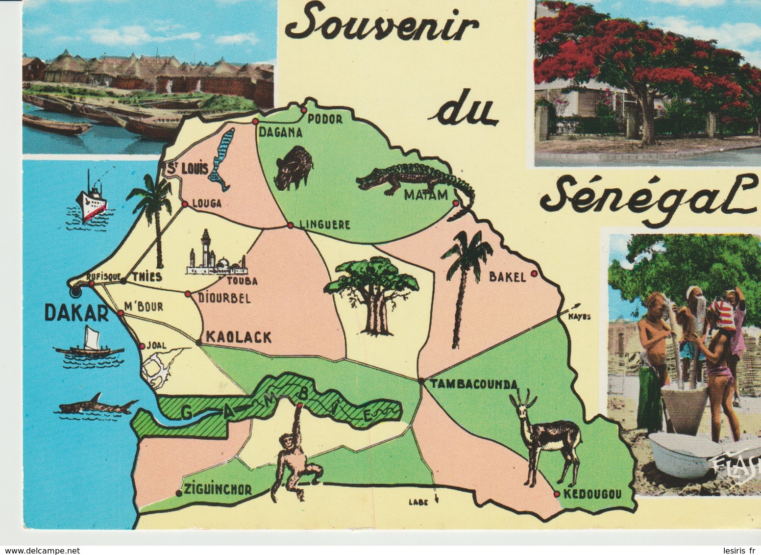 C.P. - PHOTO - SOUVENIR DU SÉNÉGAL - UN VILLAGE DE PÉCHEURS - FLAMBOYANTS EN FLEURS - PRÉPARATION DU MIL - 49 - 3 VUES - Sénégal